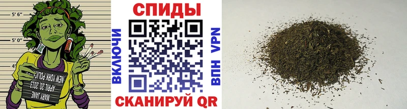 Купить закладки  Мураши  Бутират жидкий экстази 
