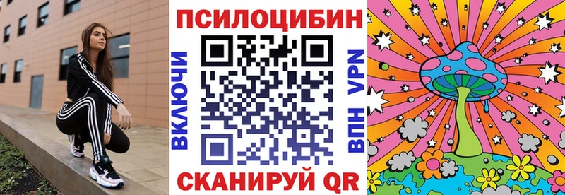 Купить где  Мураши  Галлюциногенные грибы MAGIC MUSHROOMS 